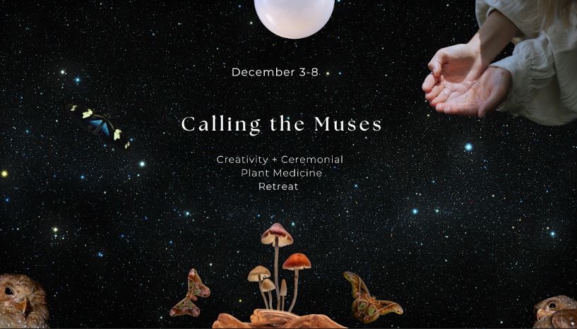 The programs featured image