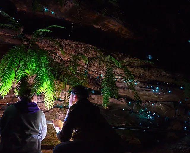 The programs featured image