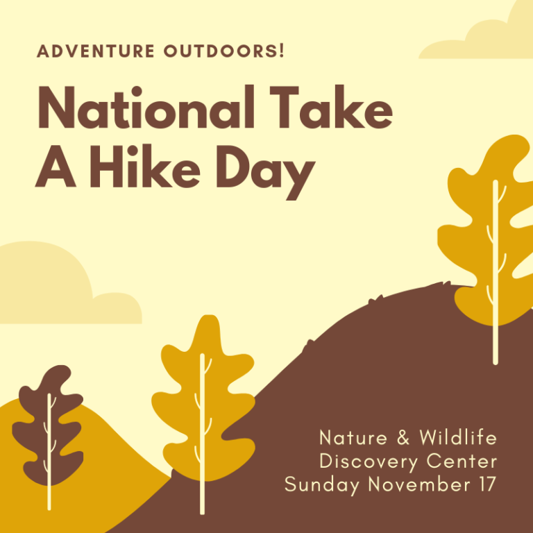 National Take A Hike Day… Hike