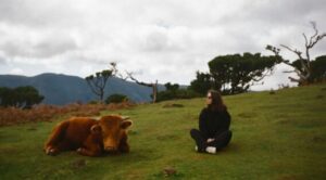 A person sits quietly on the grass near a resting cow in an open landscape, turned toward the animal with mountains and trees in the distance.